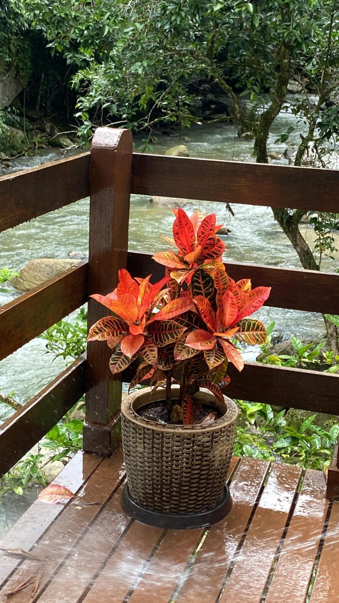 Chacara Da Liberdade Serra De Macae-Bicuda Pequena Vila Exterior foto